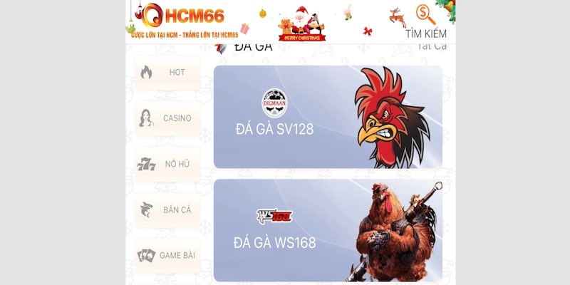 2 sảnh đá gà HCM66 chất lượng