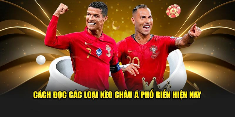 Có nhiều tỷ lệ chấp khác nhau phù hợp cho từng trận đấu