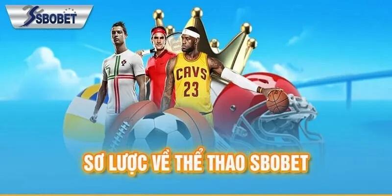 Top 3 bộ môn hot tại SBOBET của nhà cái HCM66