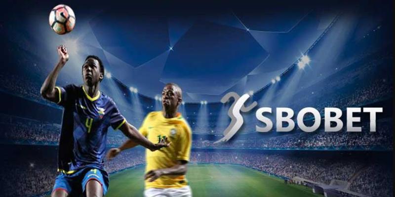 Vì sao hội viên HCM66 yêu thích SBOBET?